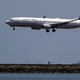 Illustration for article titled United Airlines Re-Routes Plane After Third Dog-Related Mishap of the Week